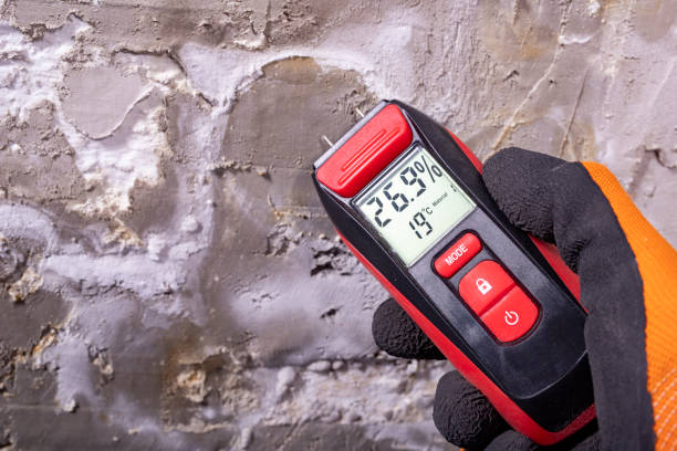 Best Same-Day Mold Removal  in Highland, IN